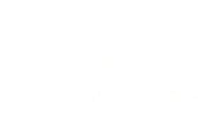 bocchino