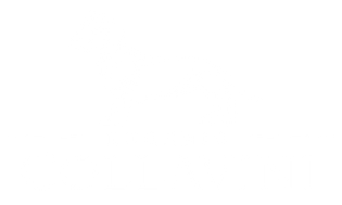 collavini