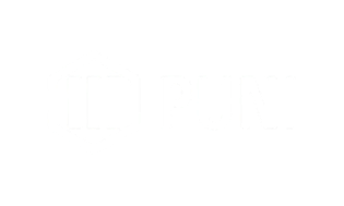 puni